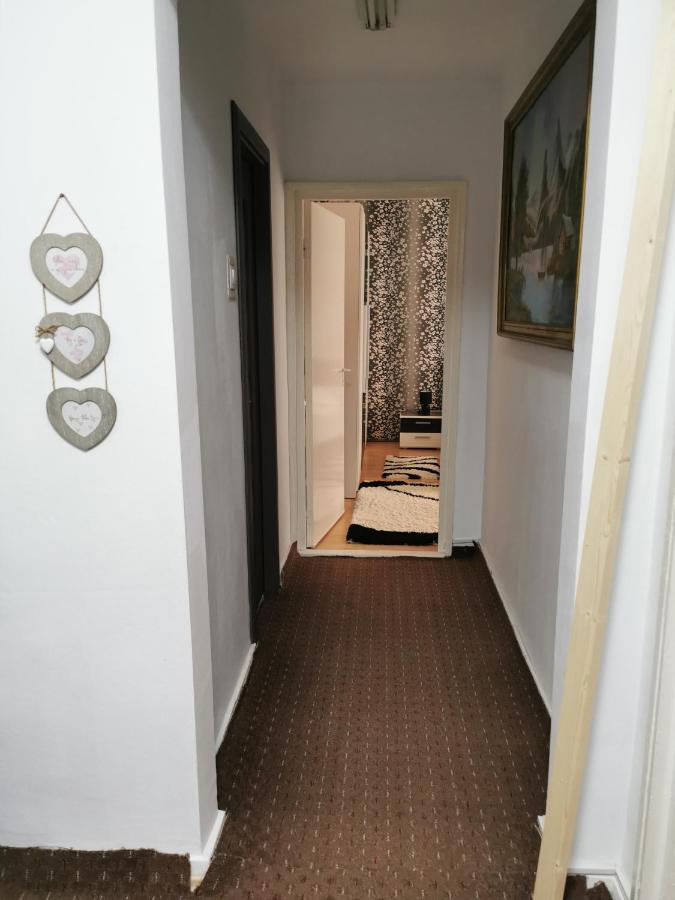 Apartament Maysa Cluj Napoca Bagian luar foto