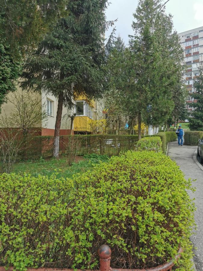 Apartament Maysa Cluj Napoca Bagian luar foto