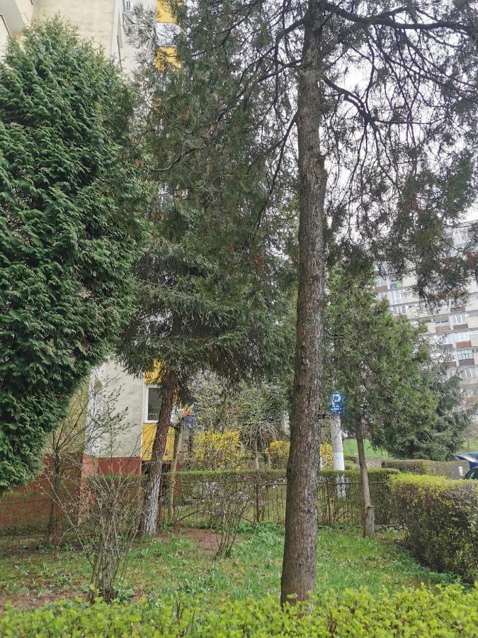 Apartament Maysa Cluj Napoca Bagian luar foto